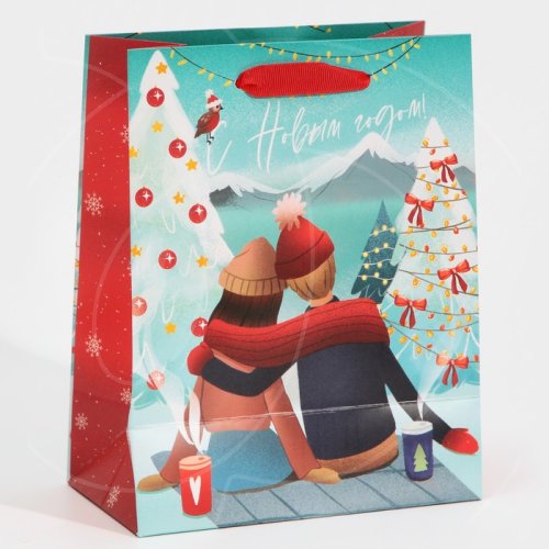 Пакет бумажный "Новогодняя пара" 18х23х10 см 7695765